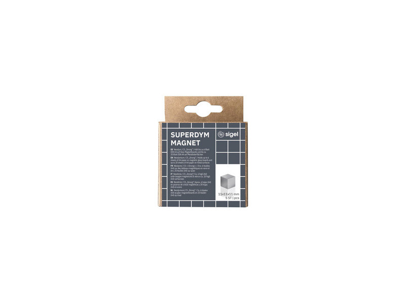 sigel Aimant néodyme cube 'Strong' C5, set de 5, argent