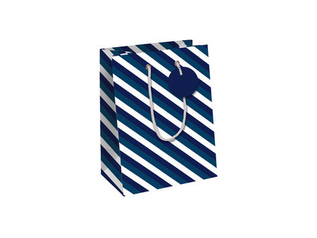 Clairefontaine Sac cadeau 'Blue Line', moyen