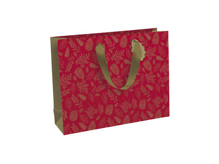 Clairefontaine Sac cadeau de Noël 'Scintillant'