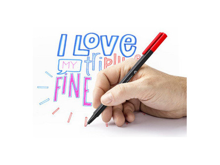 STAEDTLER Fineliner triplus, étui carton de 10