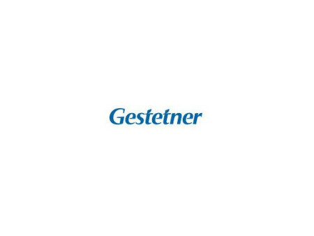 Cartouche Gestetner GC21HYMGT - Magenta