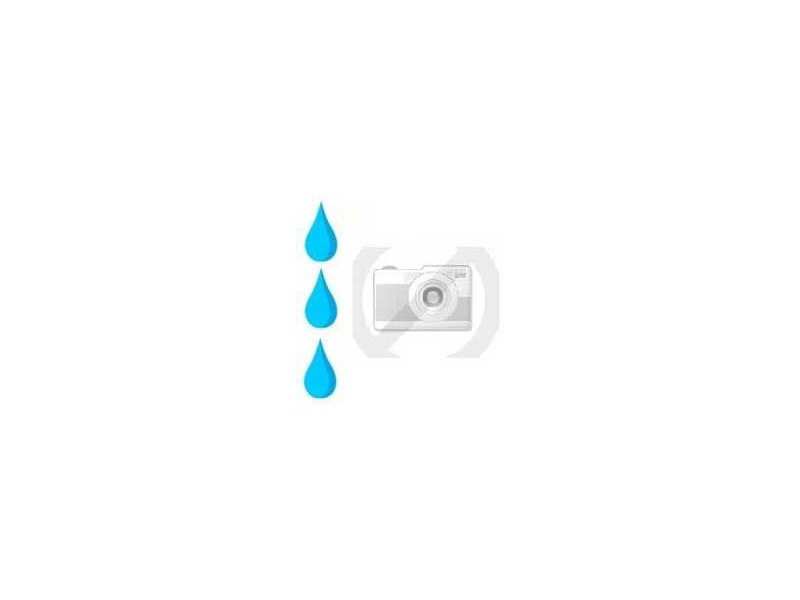 Ricoh - Cartouche de toner - 4 x cyan (887933)
