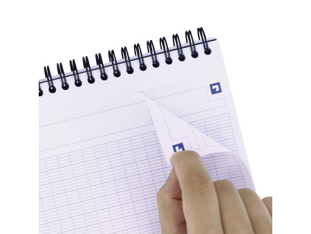 Oxford Etudiants Bloc-notes à spirale 'EASYNOTES', A4+