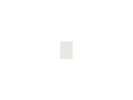 VIKTOR RICHTER Bloc-notes format A4, 100 pages, recycling