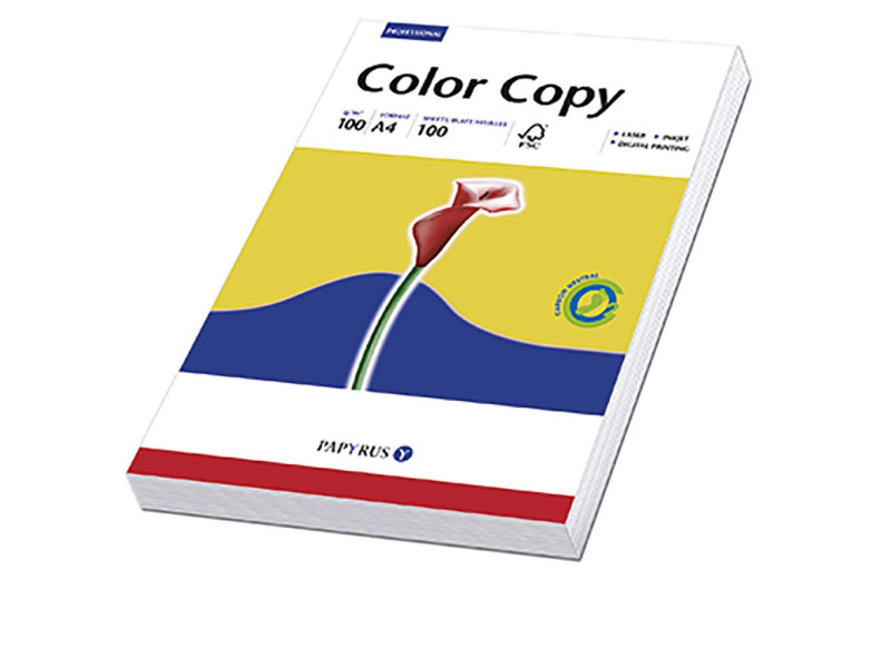 PAPYRUS papier mlutifonction "Color Copy",format  A4,