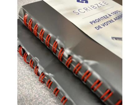 Oxford Agenda semainier Office, 210 x 297 mm, 2024, gris (couverture abime)