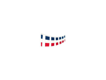 SUSY CARD guirlande de fanions "France", en plastique