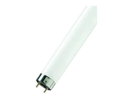OSRAM Lampe fluorescente LUMILUX T8, 18 Watt, G13, flux
