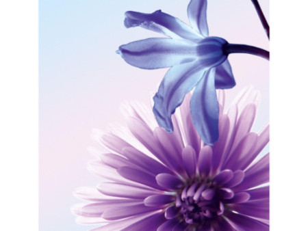 sigel Papier design, A4, 90 g/m2, motif "Blue Emotion"