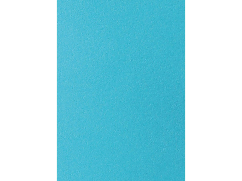 MAILmedia Multifunktionspapier, DIN A4, 80 g/qm, hellblau