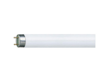OSRAM Lampe fluorescente LUMILUX T8, 36 Watt, G13 (865)