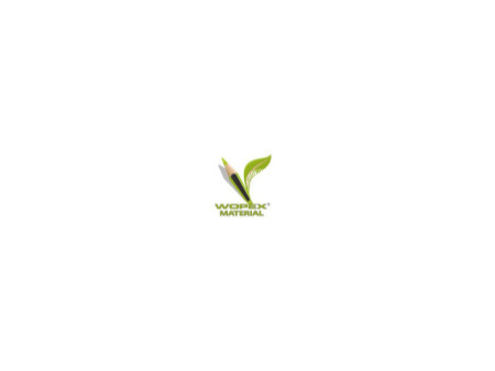 STAEDTLER Crayon Noris eco, degré de dureté: B