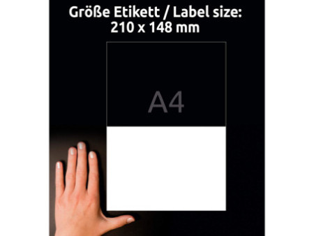 AVERY Zweckform Etiquettes antimicrobiennes, blanc