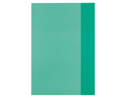 herlitz Protège-cahier format A4, en PP, vert transparent
