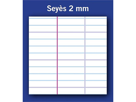 CONQUERANT CLASSIQUE Cahier 'QUATTRO', 240 x 320 mm, seyès