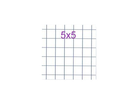 CONQUERANT CLASSIQUE Cahier 210 x 297 mm, Q5x5, incolore