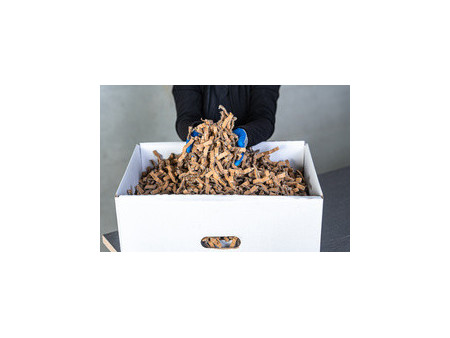 HSM Perforateur de carton pour calage ProfiPack ecoChip