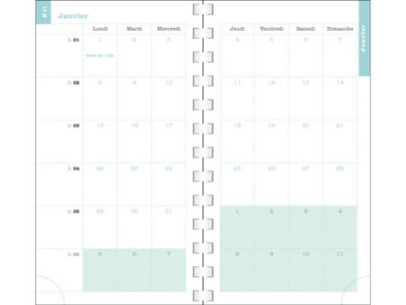 EXACOMPTA Agenda de poche 'Lady 16S', 2026, Ondine assorti