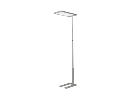Hansa Lampadaire LED Capella, (H)2.020 mm, gris argent