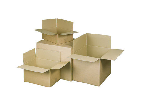 RAADHUIS Carton ondulé à plier, (L)200 x (P)200 x (H)110 mm