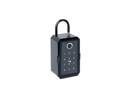 pavo Mini-coffre à clé Advanced, pour 1 clé, noir