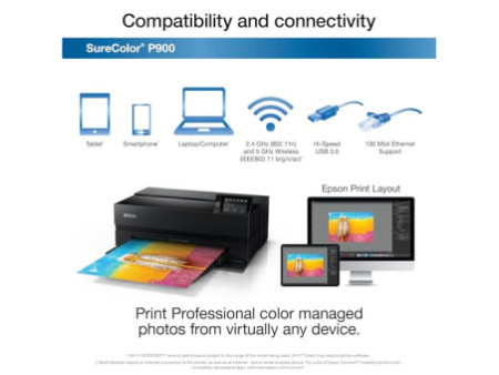 EPSON SureColor SC-P900 Printer colour