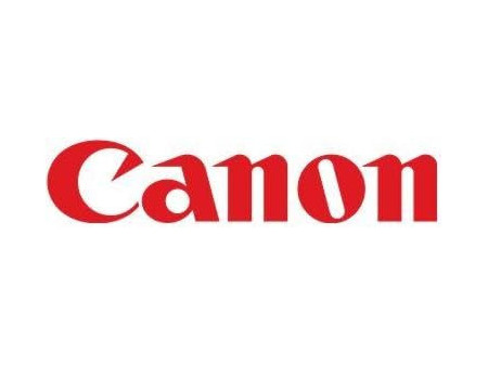 CANON Cartouche dencre noir PG-595XL 7170C001
