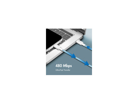 LogiLink Câble USB 2.0, USB-C - USB-C, 0,5 m, blanc