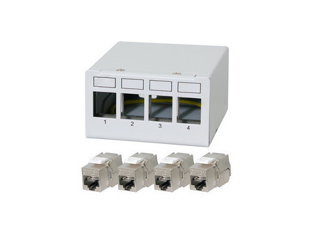 LogiLink Panneau de brassage cat.6A, 12 ports, gris clair