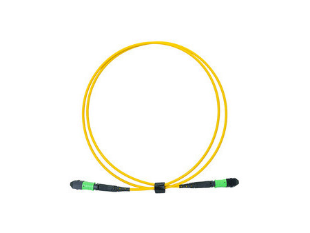 LogiLink Câble patch MPO, 12 fibres, Singlemode, OS2, 5 m