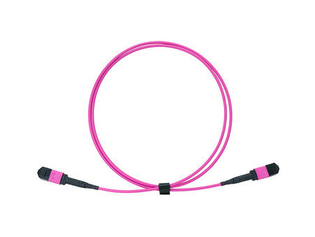 LogiLink Câble patch MPO, 12 fibres, Multimode, OM4, 5 m