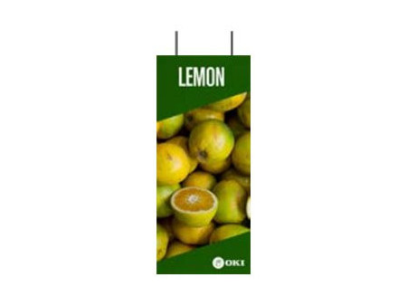 OKI FASTDISP A3 ceiling METAL 30x90CM 09006049