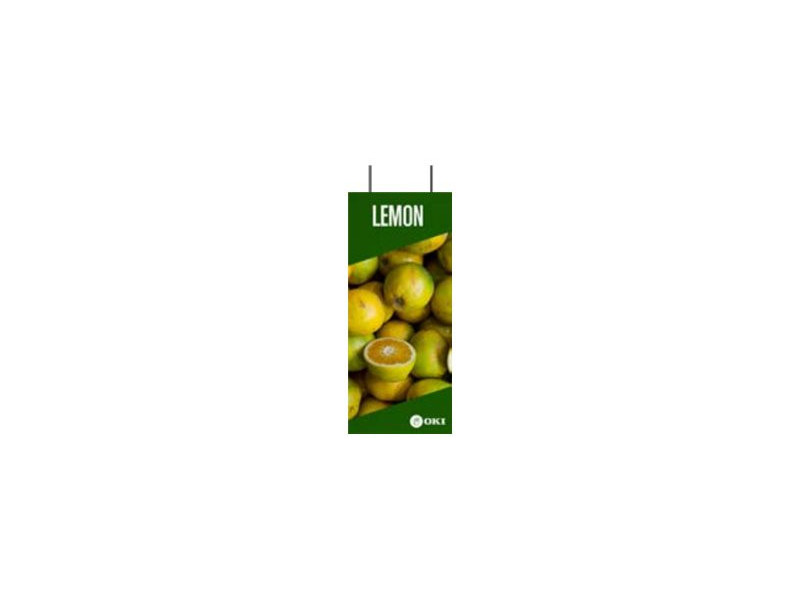 OKI FASTDISP A3 ceiling METAL 30x90CM 09006049