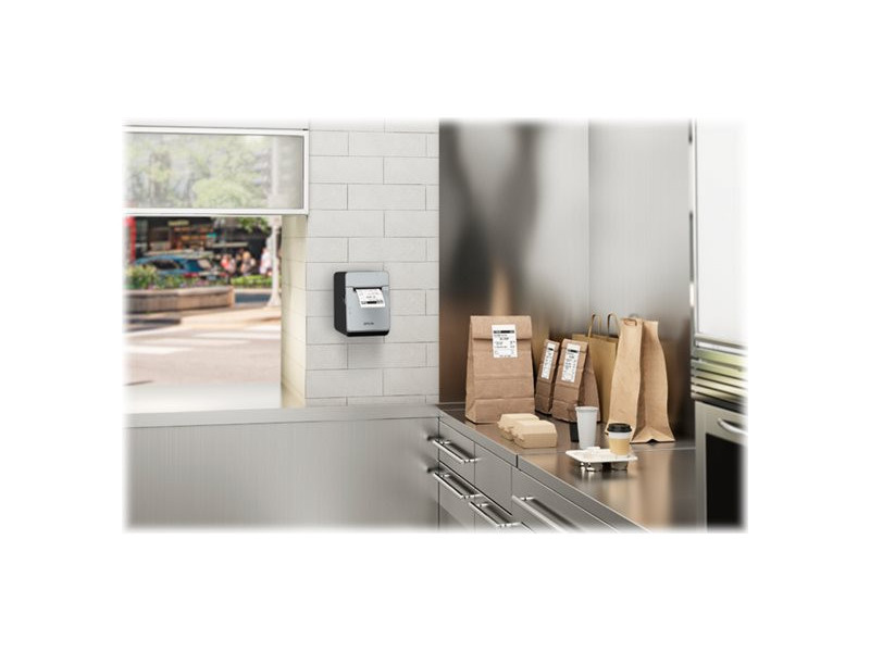 EPSON TM-L100 101 USB + Ethernet C31CJ52101