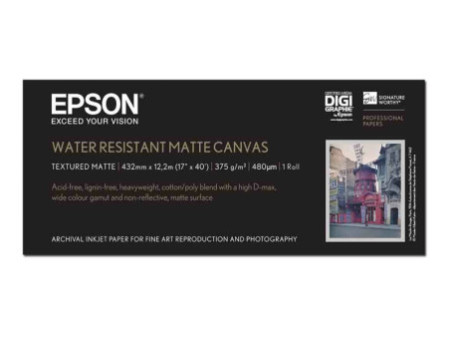 EPSON Paper Canvas 17Ix12.2m matte C13S042013