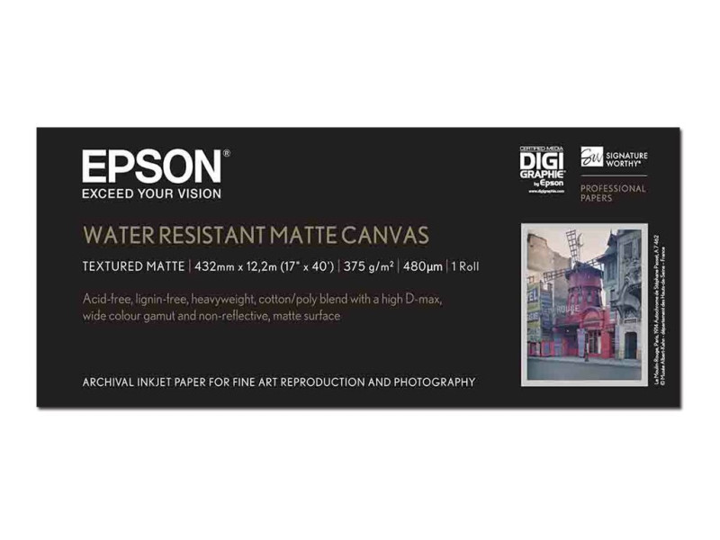 EPSON Paper Canvas 17Ix12.2m matte C13S042013