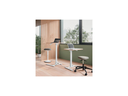 LEITZ Poste de travail assis-debout Ergo Compact, blanc
