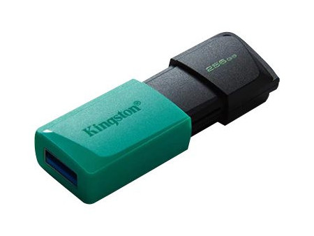 KINGSTON 256Go DataTraveler Exodia M