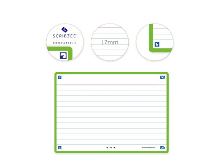 Oxford Fiches 'Flash 2.0', 105 x 148 mm, vert