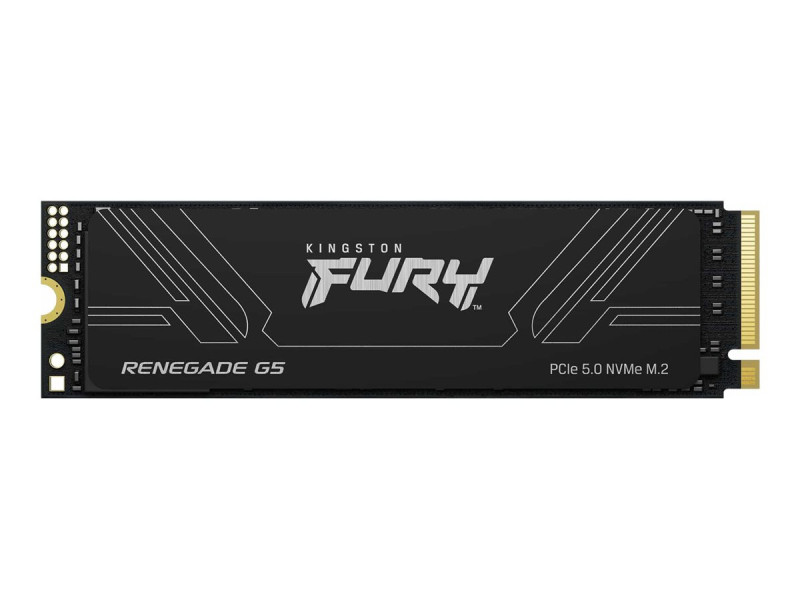 KINGSTON FURY Renegade G5 4096Go M.2