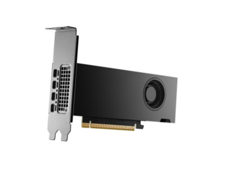 HP NVIDIA RTX 2000 Ada 16Go 4mDP Graphic