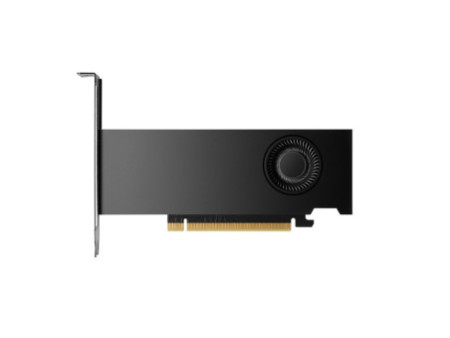 HP NVIDIA RTX 2000 Ada 16Go 4mDP Graphic