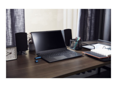 KINGSTON 64Go USB-C IronKey Vault 50C