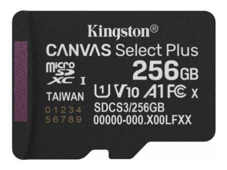 KINGSTON Canvas SelectPlus micSDXC 256Go