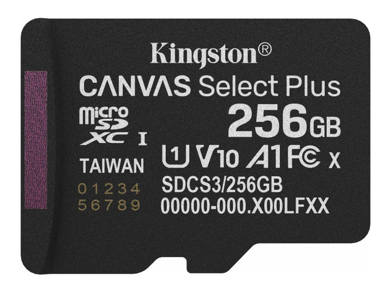 KINGSTON Canvas SelectPlus micSDXC 256Go