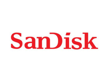 SANDISK SSD Plus 250Go 2.5p SATA SSD