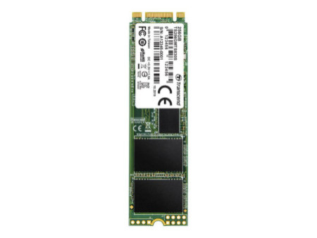 TRANSCEND 256Go SSD Interne M.2 2280