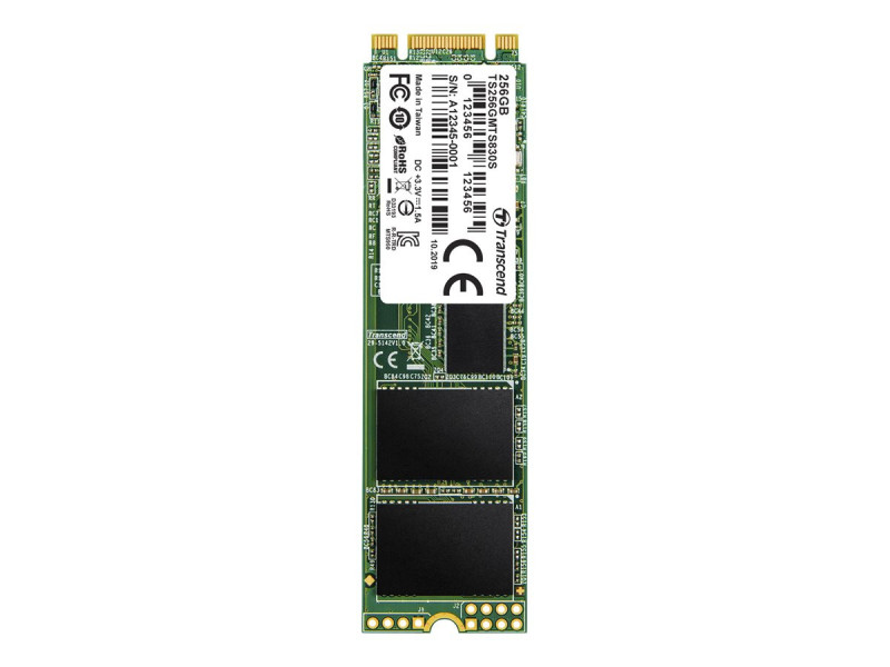 TRANSCEND 256Go SSD Interne M.2 2280