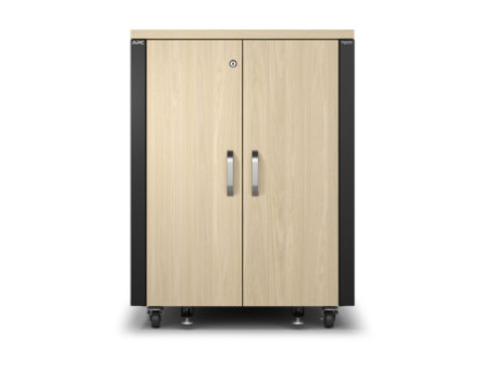 APC NetShelter Soundproof Server Rack 17