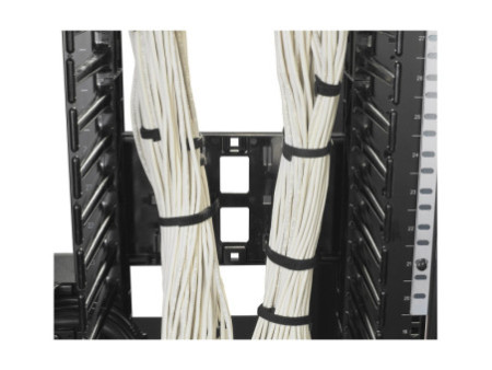 APC ValueLine Vertical Cable Manag 2 & 4